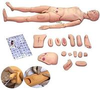 Adult Medical Training Kit Human Anatomical Model Demonstration Human Manikin Education Teaching Model For Students Education Teaching Medical Training Skills