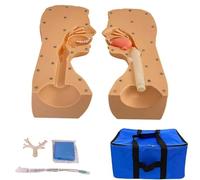 Adult Medical Training Kit Nasal Cavity Oral Sputum Suction Training Model, Adult Intubation Nursing Model, Comprehensive Airway Management Kit, with Detachable Trachea, 1:1 Life-size, for N