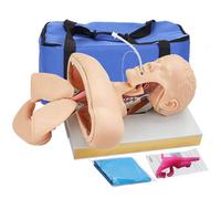 Adult Medical Training Kit Oral/Nasal Intubation Manikin Study Teaching Model,Intubation Manikin Study Pvc Model Demonstration Training Airway Teaching Model (Adult Model)
