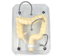 Adult Medical Training Kit Soft virtual colonoscopy training model, medical colon model, suitable for nursing medical training