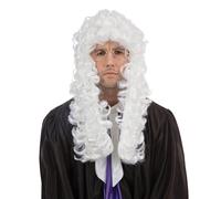 Adult Mens Ladies Judge Barrister Lawyer Court Fancy Dress Costume White Wig