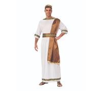 Adult Men's White Greek God Toga Book Day Fancy Party Dress Costume
