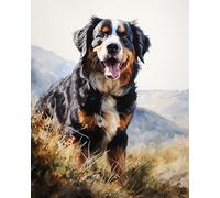 Adult Paint by Numbers Canvas Kits,Animal Bernese Mountain Dog,Paint by Number Kits On Canvas DIY Oil Painting Kits for Gift Home Wall Decor,16x20inch Frameless