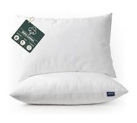 Adult Pillow Case - Zippered Waterproof Pillow Protector 50x75cm - Set Of 2 - Made With 100% Cotton Outer Layer With Waterproof Layer - Breathable/Hypoallergenic Encased Pillow Protection