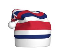 Adult plush Christmas hat YYHHAOFA Hawaii Flag Picture with soft touch for Christmas party