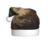 Adult plush Christmas hat YYHHAOFA Sea lions on the coast Picture with soft touch for Christmas party