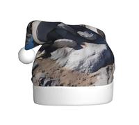 Adult plush Christmas hat YYHHAOFA The stone on the mountain top Picture with soft touch for Christmas party