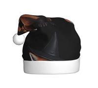Adult plush Christmas hat YYHWHJDE The fox wearing a witch hat Printing with soft touch for Christmas party