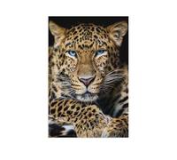 Adult Puzzle 1000 Pieces，Leopards, predators, animals in jungle & rainforest，Creative Family Entertainment Gift and Game Set Wooden Puzzle Props Children's Toys（75x50cm）-AR74