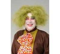 Adult Size The Mad Hatter Style Crazy Backcombed Green Wig