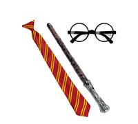 Adult Sorcerer's Apprentice Accessory Kit