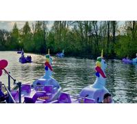 Adult Ticket The Magical unicorn Lake 40