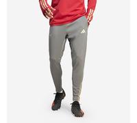 Adult Training Bottoms Arsenal Season 2023 2024