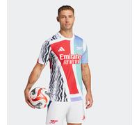 Adult Training Shirt Arsenal 24/25