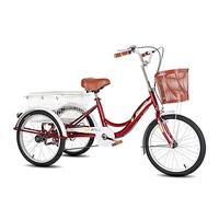 Adult Tricycle Three Wheel Bike 3 Wheel Bikes High Carbon Steel Frame Single Speed Bicycle 20inch Three Wheel Cruiser Bike for Seniors Women Men Cycling Pedalling