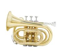 Adult Trumpets B Flat Brass Trumpet Miniature Trumpet Beginner Playing Wind Instrument Trumpet Cornet