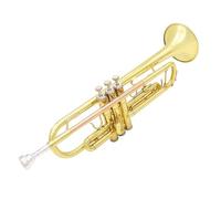 Adult Trumpets B Flat Standard Brass Trumpet Instrument Phosphor Bronze Tube Beginner Playing Instrument