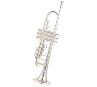 Adult Trumpets B Flat Three-tone Trumpet Instrument For Adult Beginners And Professional Performance(D)