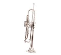 Adult Trumpets B Flat Trumpet Instrument Beginner Professional Performance Piston Trumpet Adult Trumpet Instrument(B)