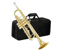 Adult Trumpets Bb Standard Gold Trumpet Set Beginner Brass Trumpet With Hard Case 7C Blowpipe Glove Accessories