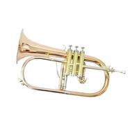 Adult Trumpets Bb Standard Trumpet Suitable For Beginners And Adults To Practice