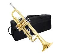 Adult Trumpets Bb Trumpet Brass Instrument Standard Brass Trumpet Set For Beginners Professional Trumpet With Box