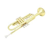 Adult Trumpets Bb Trumpet Brass Instrument Standard Brass Trumpet Set For Beginners Professional Trumpet Gold Silver With Box(Gold)