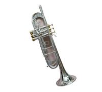 Adult Trumpets Bc Trumpet TR-197GS Silver Plated Trumpet Small Brass Musical Instrument Trompet Professional(Silver)