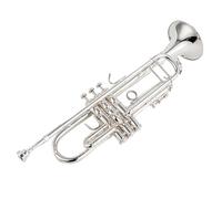 Adult Trumpets Beginners Music Lover Professional Silver Trumpet Pipe Flat Instrument Brass