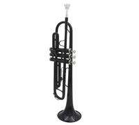 Adult Trumpets Black ClassicTrumpet Bb B Flat Trumpet Brass Material Piston Professional Wind Instrument With Accessories