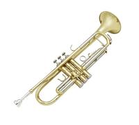 Adult Trumpets Brass Instrument B Flat Trumpet Gold And Silver Two-color Trumpet Beginner Practice Professional Playing Trumpet