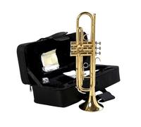 Adult Trumpets Brass Instrument Trumpet Lacquer Gold Trumpet B-flat Key Beginner Adult Musical Instrument(Gold)
