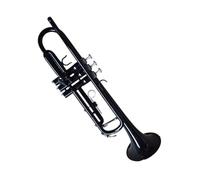 Adult Trumpets Brass Trumpet Instrument Beginner Grade Test Black B Flat Instrument Performance