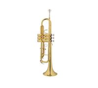Adult Trumpets Brass Trumpet Professional Performance-level B Flat Tune Beginner Adult Band Instrument Trumpet(A)