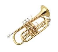 Adult Trumpets Brass Wind Instrument B Flat Cornet Instrument Trumpet Instrument Surface Lacquered Gold