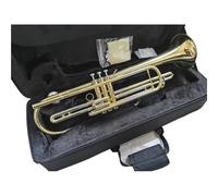 Adult Trumpets Gold Lacquer Bass Trumpet Beautiful Appearance Beginner Adult Professional Performance Instrument