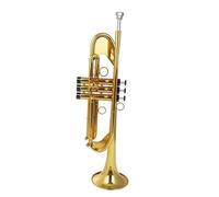 Adult Trumpets Music Lover Golden Trumpet Brass Pipe Flat Instrument Silver(Golden)