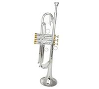 Adult Trumpets Music Lover Golden Trumpet Brass Pipe Flat Instrument Silver(Silver)