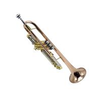 Adult Trumpets Original Trumpet Instrument Made Of Phosphor Bronze For Professional Performance