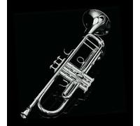 Adult Trumpets Original Trumpet Instrument Silver-plated Color Professional Performance