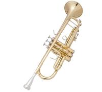 Adult Trumpets Phosphor Bronze B Flat Trumpet Instrument Grading Performance(A)