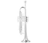 Adult Trumpets Phosphor Bronze B Flat Trumpet Instrument Grading Performance(B)