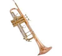 Adult Trumpets Phosphor Bronze B Flat Trumpet Instrument Grading Performance(C)