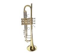 Adult Trumpets Professional BB Trumpet Band Professional Player Brass Instrument Trumpet With Gig Bag(Gold)
