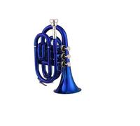 Adult Trumpets Professional Beginner Trumpet Bb Flat Brass Material Wind Instrument With Gloves Cloth Carrying Case(Blue)