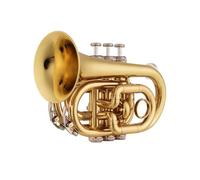 Adult Trumpets Professional Beginner Trumpet Bb Flat Brass Material Wind Instrument With Gloves Cloth Carrying Case(Gold)