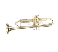 Adult Trumpets Professional Beginners Bb B Flat Trumpet Exquisite Brass Trumpet With Durable Gloves And Padded Box
