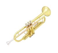 Adult Trumpets Professional Musical Trumpet Bb B Flat Brass Material Wind Instrument With Gloves Cloth Strap Case(Gold)