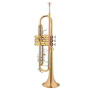 Adult Trumpets Professional Standard Trumpet Instrument In B Flat Key Beginner Adult Band Professional Performance Level(E)