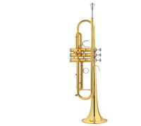 Adult Trumpets Professional Standard Trumpet Instrument In B Flat Key Beginner Adult Band Professional Performance Level(G)